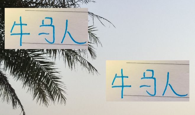 都是牛马人!申花明年要想夺冠最重要还是外援出勤率而不是效率