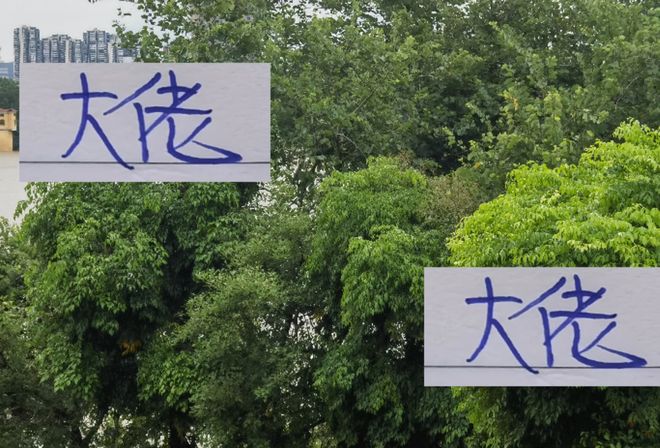 插图1–中超积分前5名射手大佬!申花米内罗提前报销也是球队最威慑人