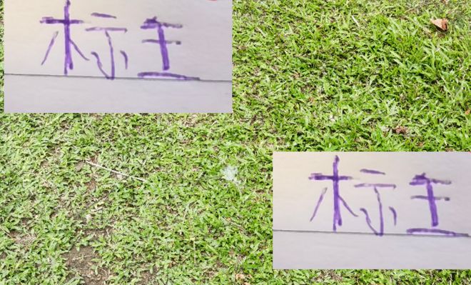 插图1–今年标王北京国安达万没入选中超最佳候选而去年标王泽卡则入选